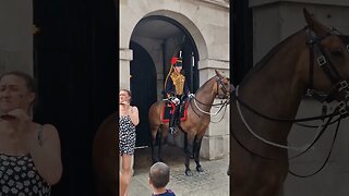 Horse jumps #horseguardsparade