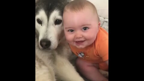 Dog and baby friendship