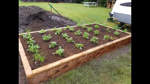 Lets build a Raised Bed for Strawberries.