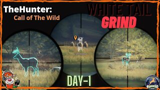 Grind For Diamond Rare White Tail. Day 01 in Call Of The Wild