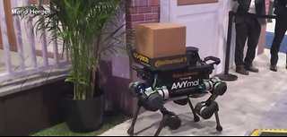 Robot delivery dog unveiled at CES