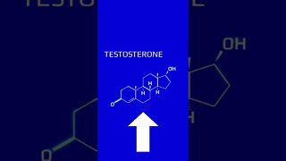 2 𝗕𝗲𝘀𝘁 𝗠𝗶𝗻𝗲𝗿𝗮𝗹 𝗦𝘆𝗻𝗲𝗿𝗴𝗶𝗲𝘀 For High Testosterone 2