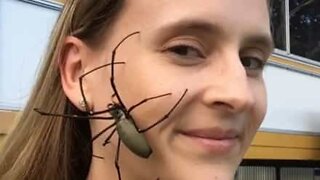 "Spider woman" shows no fear of arachnids