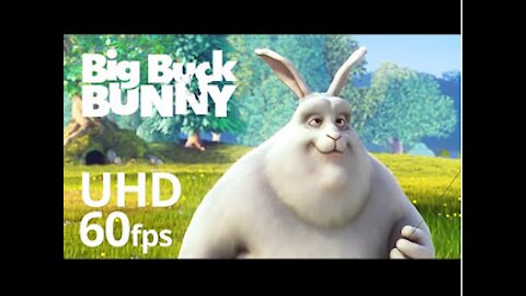Big Buck Bunny 60fps 4K - big buck bunny 60fps 4k official blender foundation short film1