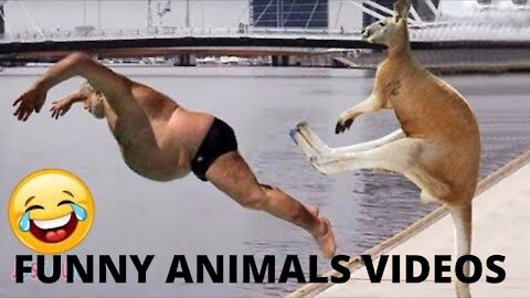 Funny diferrent animals chasing and scaring people 2021-Parte 3
