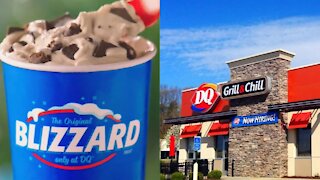 Dairy Queen's Summer Blizzard Menu Is Back & There's One With Girl Guide Cookies