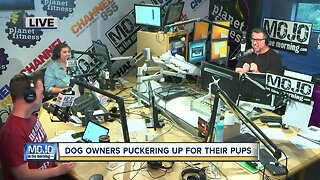Mojo in the Morning: Dog owners puckering up for their pups