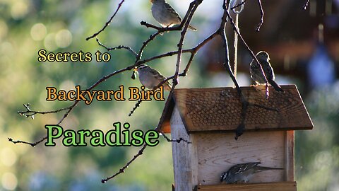Secrets to Backyard Bird Paradise & Conservation
