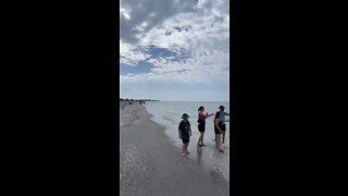 Bowman’s Beach Walk- More Dolphins Part 2