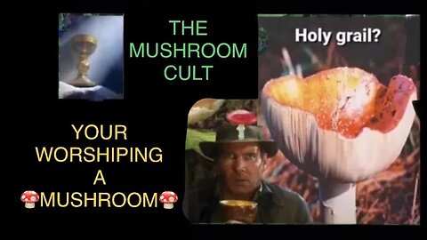 🍄 DECODING THE MAGIC 🍄MUSHROOM CULT— CATHOLICS ARE WORSHIPING THE MUSHROOM 🍄 NOT JESUS