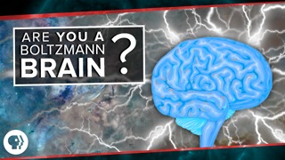 Are You a Boltzmann Brain?