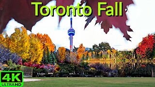 【4K】Toronto Fall 🍁 Autumn colors Canada 🇨🇦