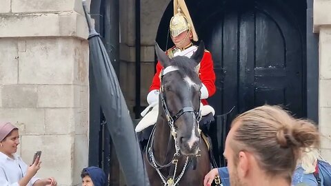 leaning on the kings guard boot #horseguardsparade