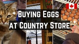 Buying Eggs at Farm Supply Store (Complete with Meeting Country Cat)
