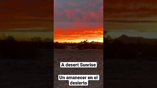 Desert Sunrise