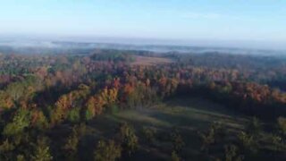 サウスキャロライナのもやのかかった秋の風景