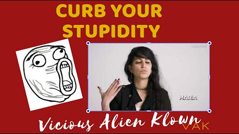 Curb your stupidity! Lefties are dumb!