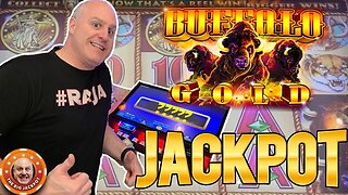 💛 My 1st Jackpot on High Limit Table Top on Buffalo Gold Slots! 💛 Huge Bonus Win!