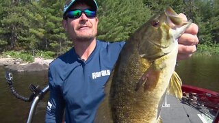 Topwater Smallmouth on Crane Lake, Minnesota