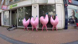 Have You Ever Seen Anything Like This - Hilarious Pink Inflatable Men