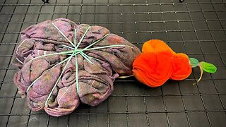 How to Tie Dye - Pumpkin Spice Mandala Tie Dye T-Shirt Tutorial