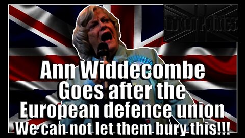 Ann Widdecombe goes after the European Defence Union and rightly so!!!