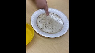 Simple experiment shows the importance of washing our hands!