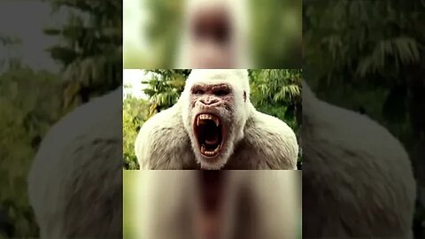 Why Do Albino Gorillas Look Like That... #shorts #scary