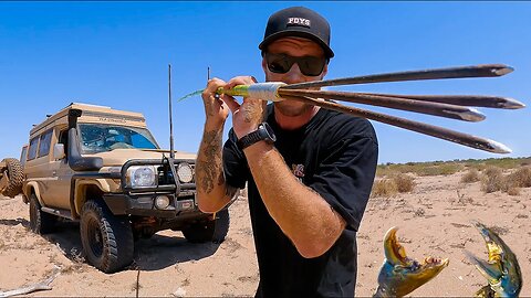 DAY 12 NO FOOD HAND SPEAR HUNTING IN REMOTE AUSTRALIA