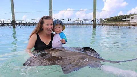 We Swam With STINGRAYS In The BAHAMAS!!!