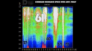 Live, Schumann Resonance Spikes Over 600% Today, August 30 2021