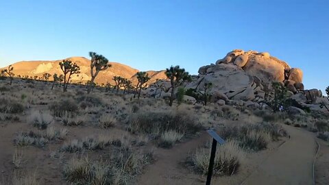 Joshua Tree National Park(3)