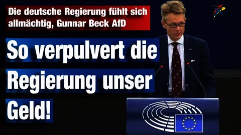 Die deutsche Regierung fühlt sich allmächtig, Gunnar Beck AfD