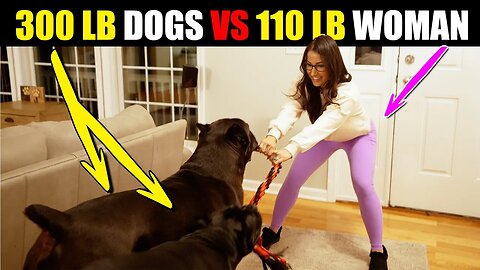 300 lbs of DOG vs 110 lb Woman
