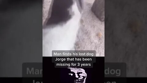 Man finds his lost dog Jorge that has been missing for 3 years 😢 #dog #cute