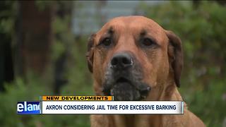 Jail time in Akron if your dog keeps barking?