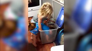 "A Crying Tot Boy Got Stuck in A Dog Food Container"