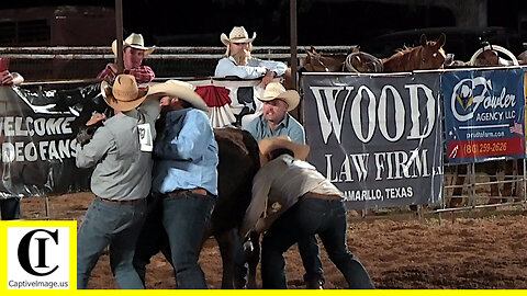 Wild Cow Milking - 2022 Saint's Roost Ranch Rodeo | Saturday