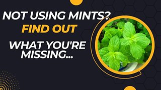Mint Benefits: Why You Shouldn't Ignore This Powerful Herb #wellbeing