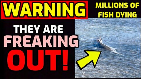 The ANIMALS are FREAKING OUT!! - Millions of "Swirling" FISH DYING
