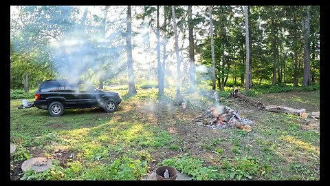 Cutting Down A Dead Leaner Husqvarna 435 Chainsaw