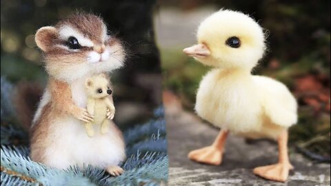 Cute baby animals Videos Compilation cute moment of the animals - Ahmee Creations