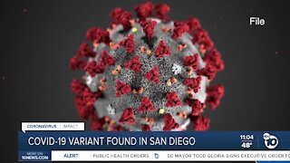 COVID-19 variant discovered in San Diego County