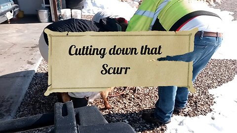 Cutting down that scurr