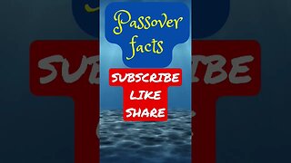 Passover Facts 2 #shorts #worldrecord #passover