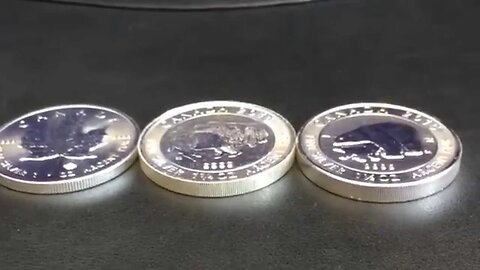 Weight For It: Sizing Up The RCM Silver Animal Coins