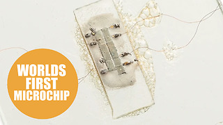 World’s first microchip