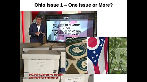 Episode 406: Ohio Issue 1 - One Issue or More