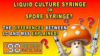 Liquid Culture (LC) & Spore Syringes (MSS) EXPLAINED! \\ In-Depth Look