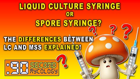 Liquid Culture (LC) & Spore Syringes (MSS) EXPLAINED! \\ In-Depth Look
